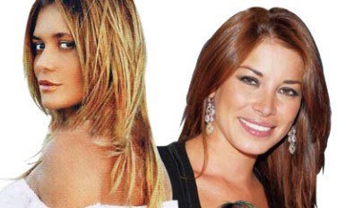 江月晃重山·初到嵩山时作