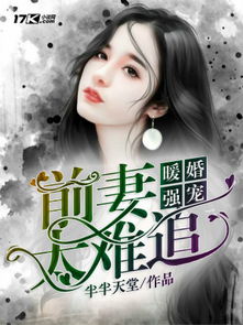 清穿之福晋不好惹